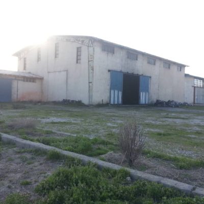IMG-20250817-WA0001
