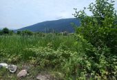 IMG_20250822_115114