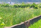 IMG_20250822_115208