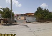 IMG_20250709_114954_842