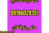 1000046338