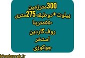 1000046369