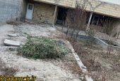 IMG_1936
