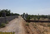 IMG-20251102-WA0007