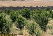 IMG-20251102-WA0008